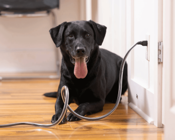 PetCords Heavy Duty 8ft Cable Protector for Pet Safety
