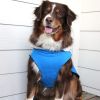 Alpine Tuf Terrain Dog Coat